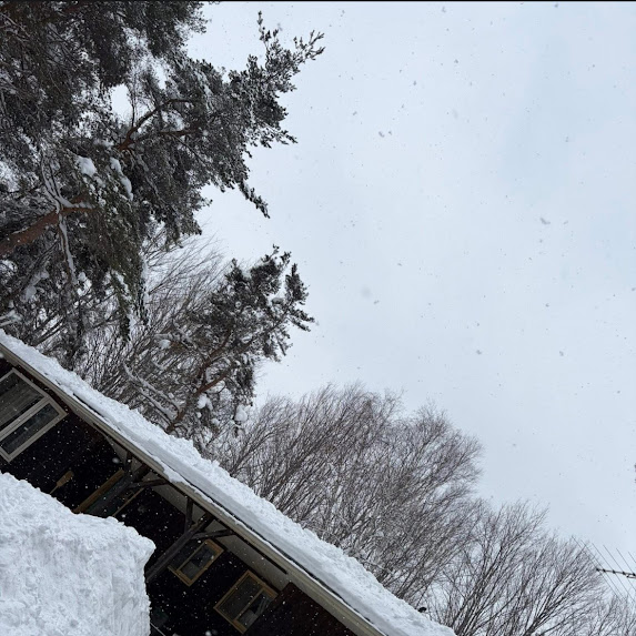 Roof snow removal