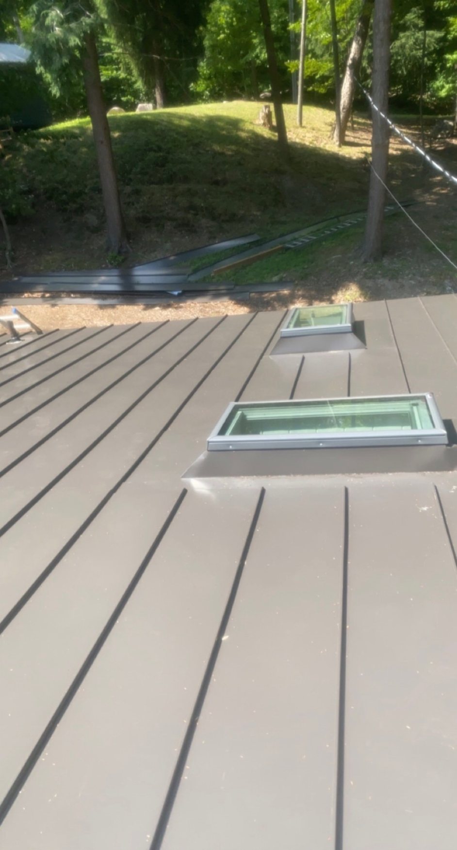 Steel roof with skylights