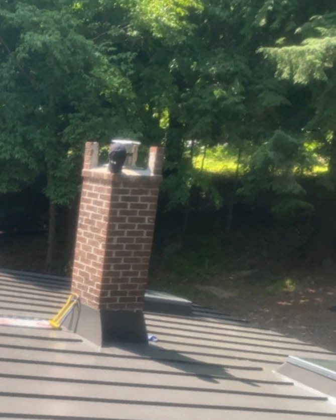 Standing seam steel roof with brick chimney